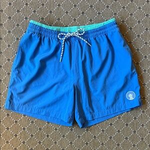 Chubbies Blue and Teal Swim Trunks